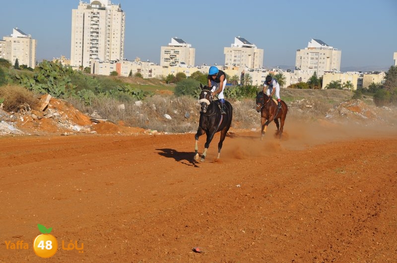 Khowoyouls ramala (41).JPG